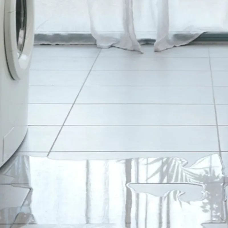 Appliance Leak Cleanup in Mason County, IL