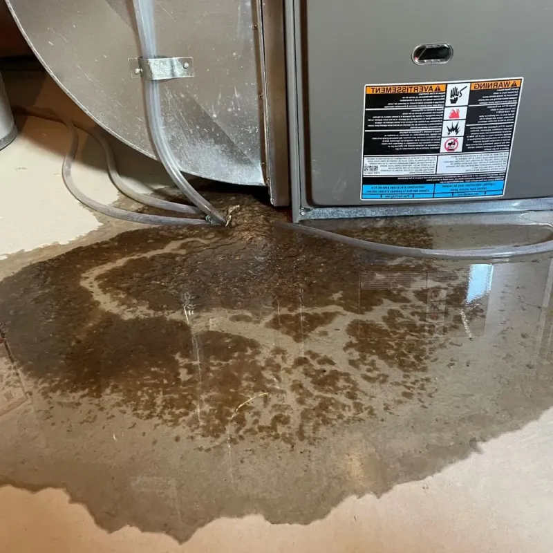 Pipe Burst and Leak Restoration in Mason County, IL