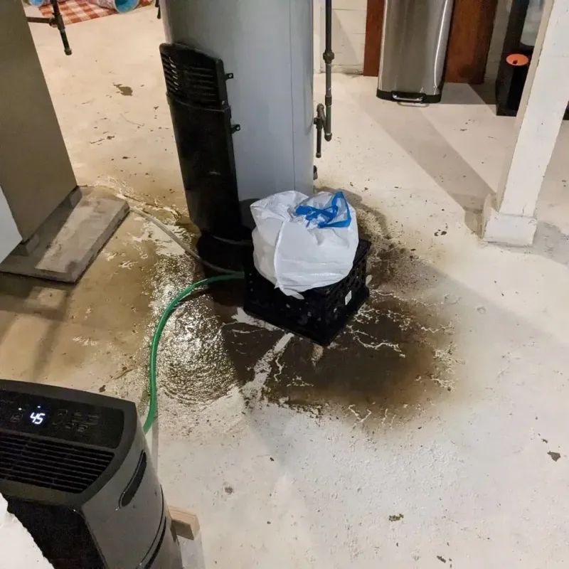 Sewage Backup Cleanup Service in Mason County, IL